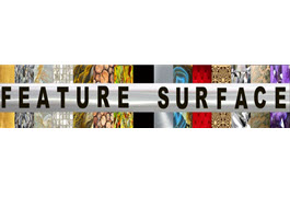 Feature Surface. Logo