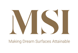 MSI Surfaces. Logo