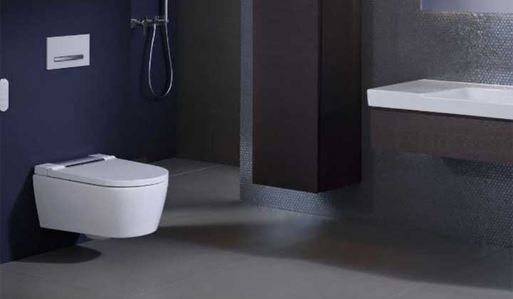 Plumbing Hardware and Flush Plates by Geberit